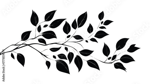 Elegant Black Tree Branch with Leaf on White Background Vector