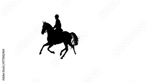silhouette of a horse on a white background