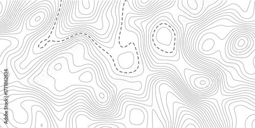 
Abstract Topographic map background with wave line. White wave paper curved reliefs abstract background. Vector illustration.Black and white lines seamless Topographic map patterns.