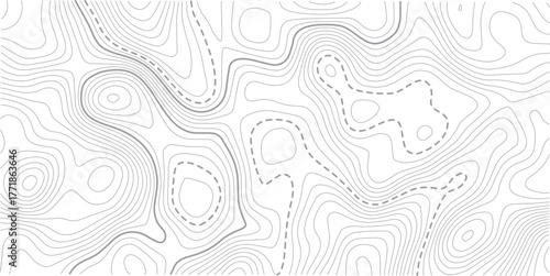 
Abstract Topographic map background with wave line. White wave paper curved reliefs abstract background. Vector illustration.Black and white lines seamless Topographic map patterns.