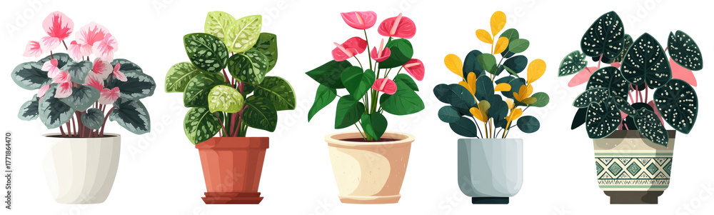 Fototapeta premium PNG Colorful potted plants illustration, element set on transparent background