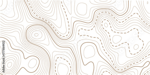 Topographic map background geographic line map with elevation assignments.luxury abstract golden line art design geography concept vector illustration topo contour grid abstract backdrop background.