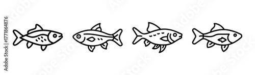 Four tiny doodle celestial pearl danio fish swimming in sequence simple outline
