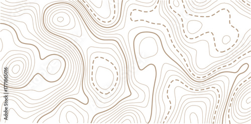 Topographic map background geographic line map with elevation assignments.luxury abstract golden line art design geography concept vector illustration topo contour grid abstract backdrop background.