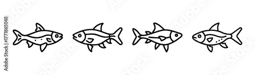 Four detailed line art drawings of harlequin rasbora fish in a row