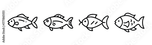Four simple line art kribensis fish designs side by side line drawings