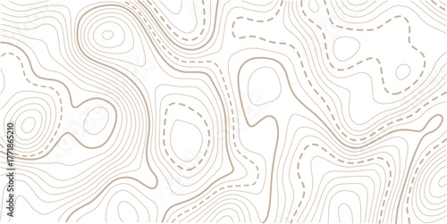 Topographic map background geographic line map with elevation assignments.luxury abstract golden line art design geography concept vector illustration topo contour grid abstract backdrop background.