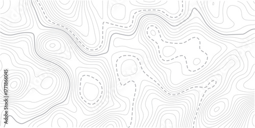 
Abstract Topographic map background with wave line. White wave paper curved reliefs abstract background. Vector illustration.Black and white lines seamless Topographic map patterns.