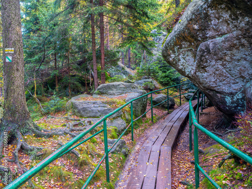 Góry Stołowe. Szlak na Szczeliniec Wielki. © Janusz Lipiński
