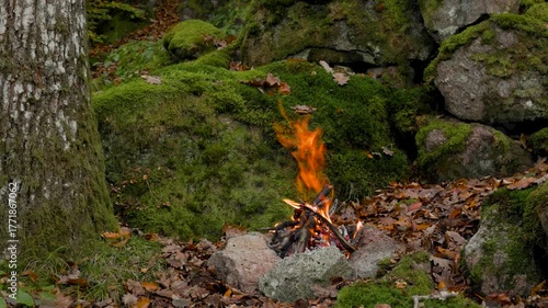 Forest Campfire Surrounded by Rocks and Moss