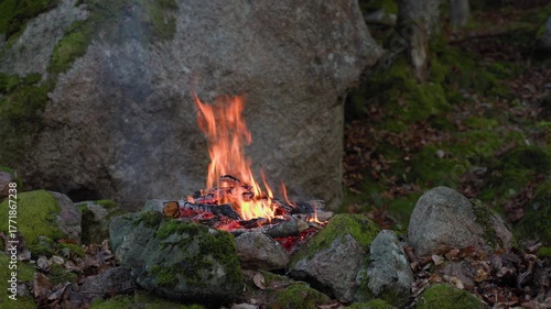 Campfire Burning in the Forest with Stones and Moss