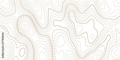 luxury abstract Golden line art design geography concept vector illustration topo contour grid abstract backdrop background.Cartography terrain contour lines backdrop for website, presentations.