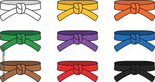 Collection of martial arts belts in various colors