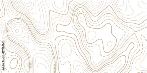 Topographic map background geographic line map with elevation assignment.White wave paper curved reliefs abstract background. Vector illustration. wave Line topography map contour background.