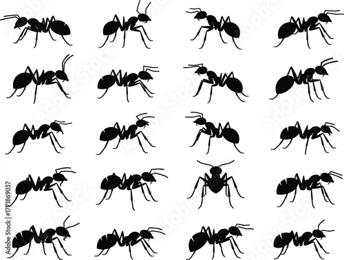 Collection of black ant silhouettes vector set, isolated insect icons for wildlife, pest control, nature education, and entomology design illustrations
