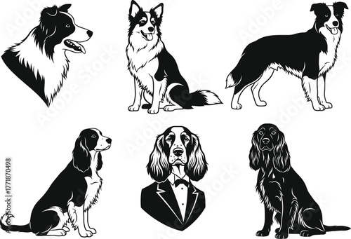 Dog breeds vector illustration set with collie, spaniel, and husky in black and white design, perfect for pet art and decoration