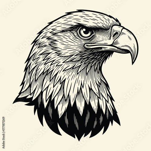 Head of a bald eagle in a classic vintage woodcut engraving style illustration