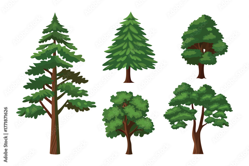 Fototapeta premium Diverse Trees Collection: a captivating array of different tree species, each a unique embodiment of natural beauty, standing tall and proud in their own individual splendor