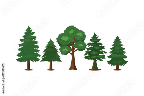 Diverse Trees Collection: A visually appealing illustration showcasing an array of different trees, from towering evergreens to lush deciduous varieties. It's an ode to nature's diversity.