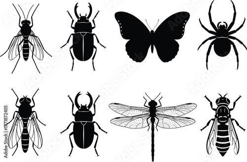 Insect silhouette vector illustration set, butterfly beetle spider dragonfly fly and wasp black collection, detailed insect design for nature and science themes