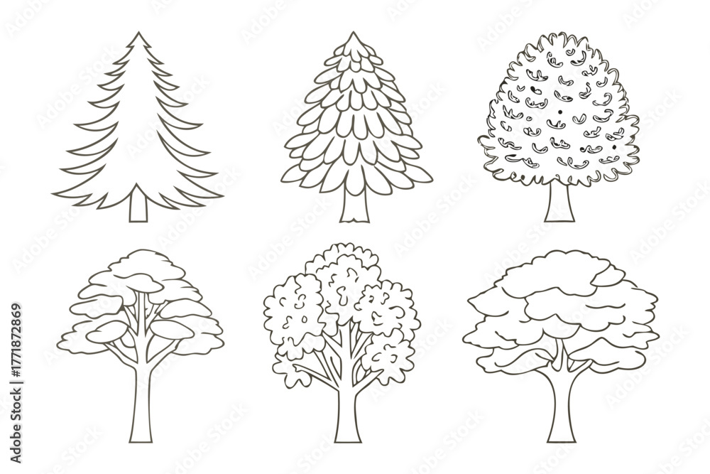 Fototapeta premium Different Tree Types: A variety of detailed tree illustrations in black line art. show tree diversity