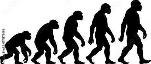 The evolutionary journey of humanity is depicted by silhouettes of hominids moving forward.