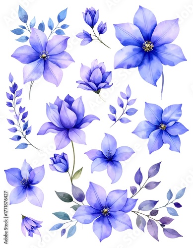 Watercolor Clematis Flower Collection - Delicate Floral Design Elements.