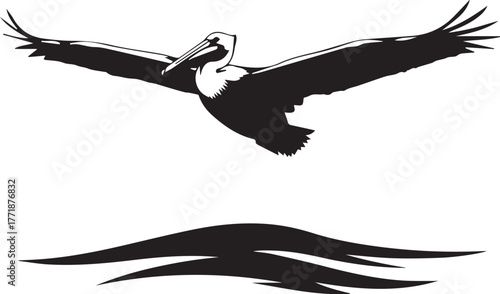 Majestic pelican soaring through the sky with graceful wing span