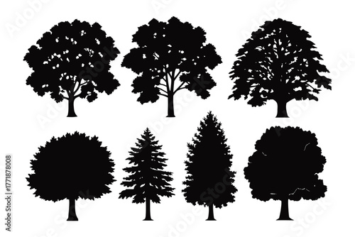 Diverse Tree Silhouettes: A collection of meticulously crafted tree silhouettes, showcasing the diverse forms and foliage variations found in the arboreal world.
