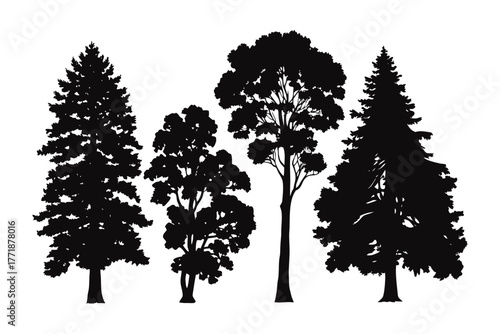 Silhouette of Majestic Trees: A stunning silhouette captures the beauty of different tree species. Their unique shapes and textures creating a captivating display.