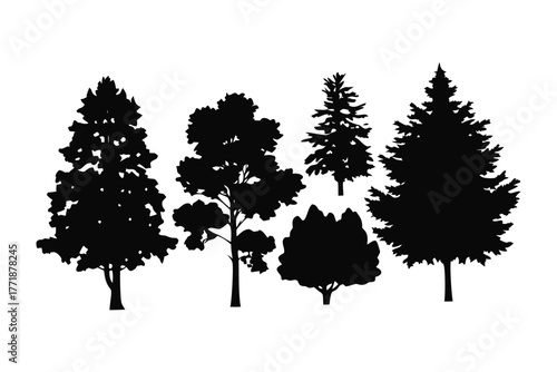 Silhouette of Trees: A collection of various tree silhouettes are displayed. Featuring a diverse range of tree species, each one distinct and adding a touch of natural beauty to the artwork.