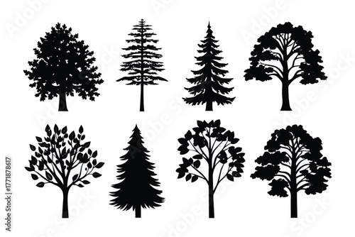 Silhouette Symphony: An array of diverse tree silhouettes, capturing the essence of nature's artistry, creates a stunning visual representation of the forest's varied inhabitants.