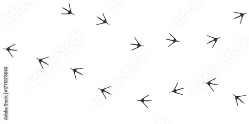 Vector trail print of bird isolated on white background.  Footprint silhouette tracks of Stork. Paw Print. Vector illustration. EPS10.