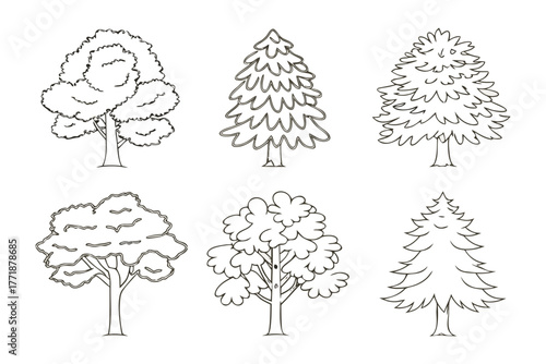 Botanical Lineup: A curated selection of stylized tree illustrations showcasing a variety of deciduous and coniferous forms, perfect for educational or design projects.