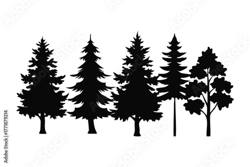 Silhouette Forest: A striking monochrome silhouette showcases a collection of towering trees, symbolizing the natural harmony of the wilderness and offering a minimalist aesthetic appeal.