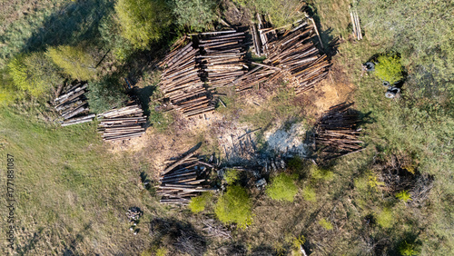Aerial View of Stacked Logs in Forest Clearing