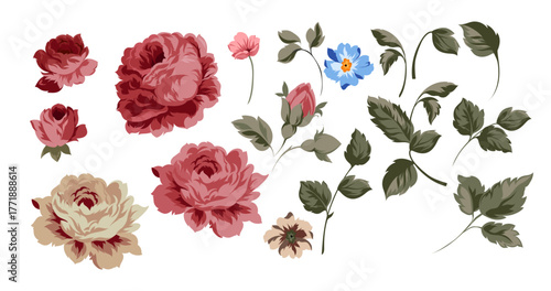 Flowers illustration set. Flowers and leaves collection. Hand draw rose collection