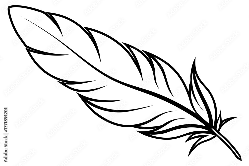 Fototapeta premium vector illustration of feather