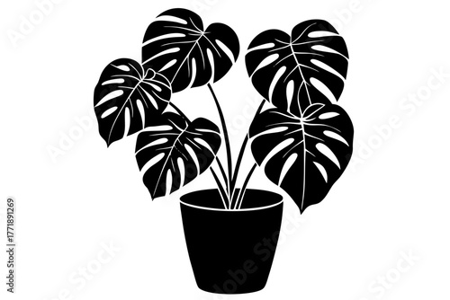 Monstera deliciosa plant in a pot silhouette vector, Monstera deliciosa  black symbol