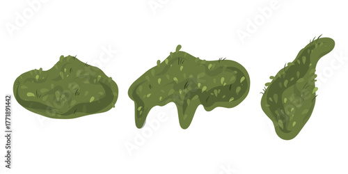 Hand drawn Green Moss vector set. Swamp moss, forest lichen.