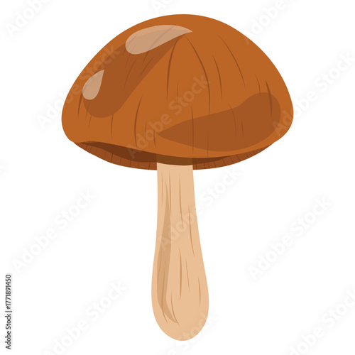 Hand drawn edible aspen mushroom vector illustration. Forest, Nature, organic element.