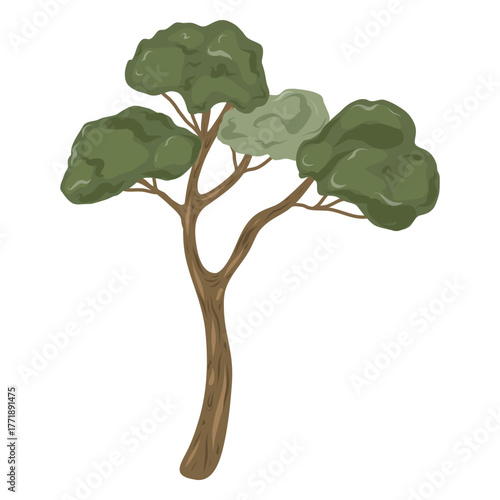 Hand drawn tree vector illustration. Nature element icon. Tree with broad canopy