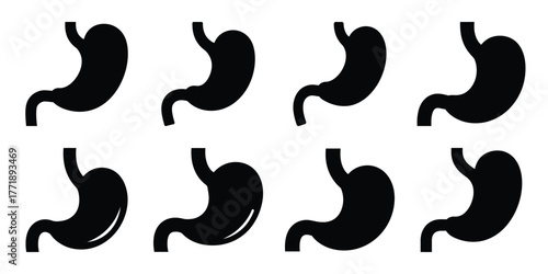 stomach minimal silhouette vector icon set