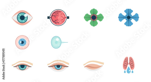 Collection of Human Anatomy and Biological Icons on White Background