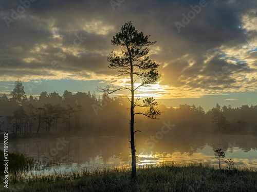 Φωτογραφία Sunrise on an early autumn morning by the lake