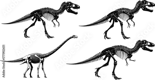 Dinosaur skeleton vector, prehistoric bones illustration, fossil silhouette art, extinct species drawing, paleontology graphic, cad drawing flat vector illustration