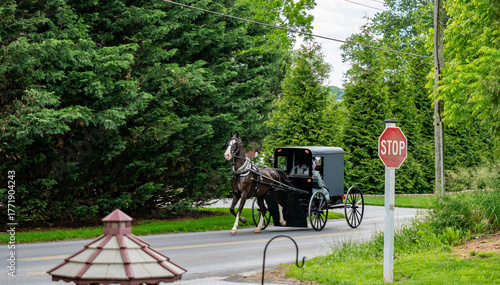 Foto A horse-drawn carriage rolls along a rural road surrounded by dense green trees