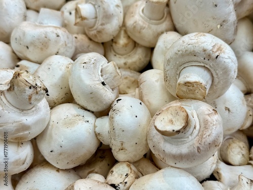 Canvas Print gros plan sur des champignons de paris blanc chez un producteur bio