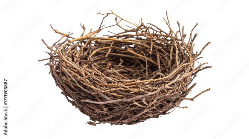 Obraz premium Bird nest made of twigs isolated on a transparent background 1