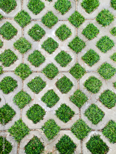 An abstract view of a geometric pattern of green grass and concrete pavers. The repeating diamond shapes create a unique visual texture.